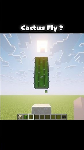 Minecraft Cactus Fly ?