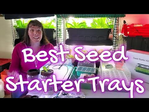 Best Seed Starter Trays