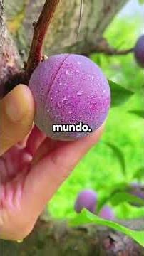 My aunt announced she was moving into my small apartment. I picked up my phone: "Which one..."