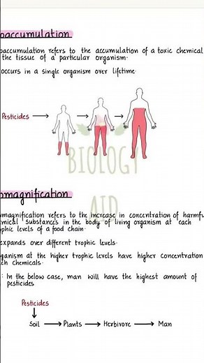 👉 class 10 chapter our environment notes 👈#science #youtubeshorts #study