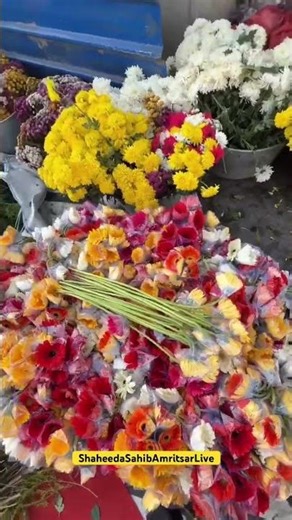 BABA JI BUS SAATH NA SHADEO #shaheedasahibamritsarlive #shaheedasahiblive