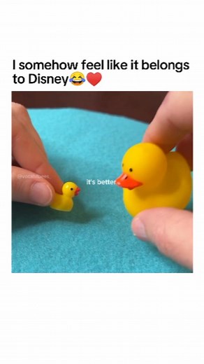 Vocal vibes on Instagram: "This is probably the most beautiful thing I saw today ♥️😍 Follow for more... . . #duck #songs #rhymes #lovesongs #funny #cute #liveperformance #talentedmusicians #song #chillmusic #liveconcert #musiccover #disney #vocalvibees 📸@ryanwalter86"