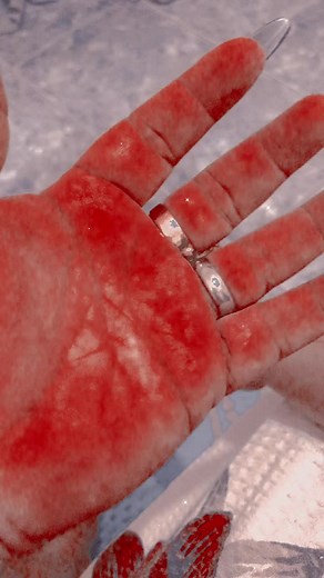 Alice Ramos no TikTok