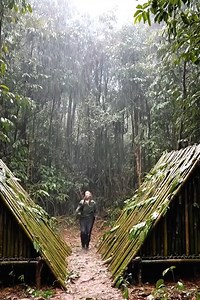 Nature provides everything you need if you know where to look! 🌧️🎋 In this video, I take shelter from the heavy rain in a handcrafted bamboo hut. Hanging the lantern and settling in on the raised bamboo floor keeps me dry and comfortable. The best part is using fresh bamboo to pour water and cook a hot meal over the fire while the storm rages outside. Have you ever used bamboo for cooking or building? Tell us below! 👇 Follow Crazy Camping for more jungle survival skills! ✅ #BambooShelter #Rai