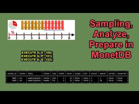 0170 Sampling, Analyze, Prepare in MonetDB
