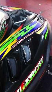 1999 Arctic Cat Thundercat 1000