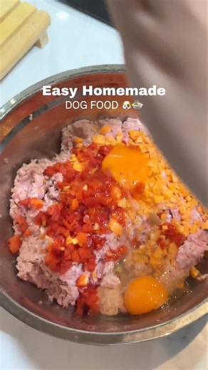 Homemade dog food | makanan sehat untuk anjing🐶🍲