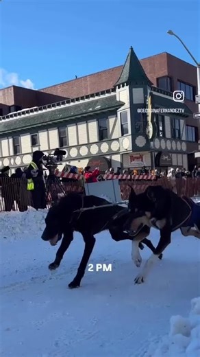 A day at the races #alaskasnewssource #furrondy