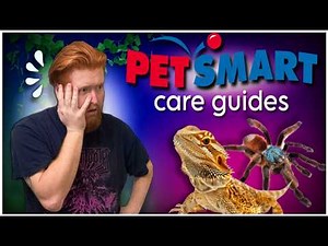 I Critiqued PetSmart's Reptile Care Guides!