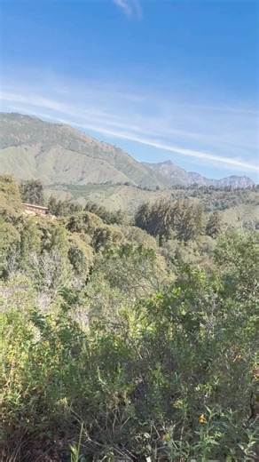 Peak Bleed out spot #2 #music #cinematic #mountains #hiking #nature #chill