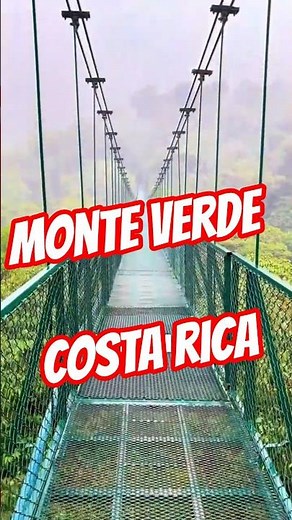El Bosque MÁS MÁGICO de Costa Rica #turismo #viajes