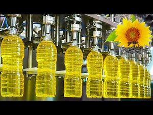 Mega Sunflower Oil Factory | How Sunflowers are Harvested & their Oil Extracted