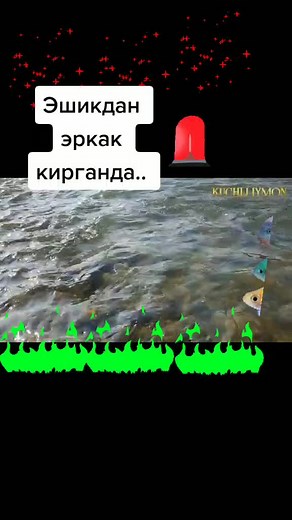 Vibrant Fish Swimming in Natural Water Scenes