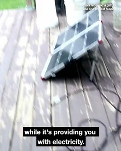 525 reactions · 86 shares | Right now and for a limited time our most popular solar generator, the Patriot Power Generator, is shipping with a FREE 3-Month Survival Food Kit (our most popular survival food kit). | 4Patriots | Facebook