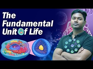 Cell Division Class 9 Biology | Chapter 5 Full Explanation by AMIT SIR #cbse #biology #class9