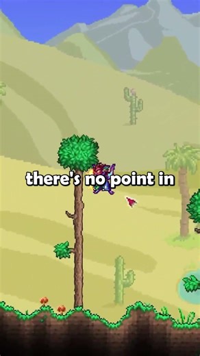 Is this the right way to play #terraria ? #correct #right #play