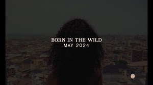 BORN IN THE WILD. The Album. May 2024🕊️ | Tems