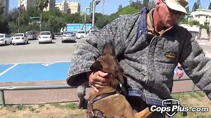 3.6K views · 111 reactions | Highly trained dog will protect his...
