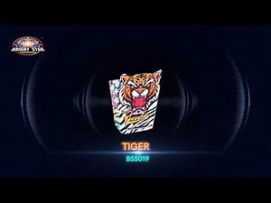 TIGER BS5019 BRIGHT STAR FIREWORKS 2023 NEW ITEM