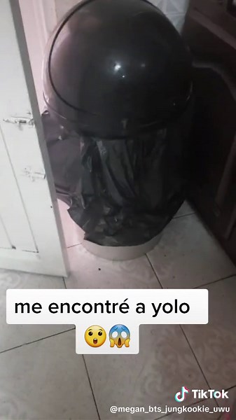 Indoor Trash Can Decoration Ideas for Your Home