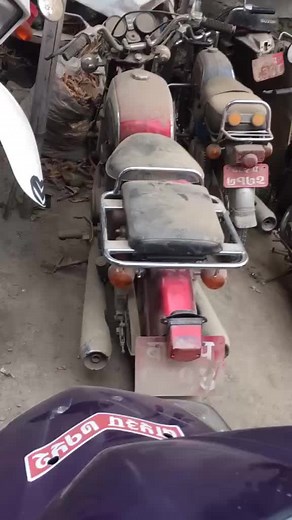 Motorcycle Showcase: Varied Colors and Models