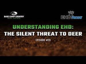 Understanding EHD: The Silent Threat to Deer