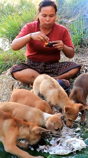 woman finding ipomoea batatas and fish for dog | Living And Cooking