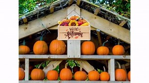 Fall Door Sign - 10.3'' x 8.2'' Hello Autumn Fall Sign for Front Door with Pumpkins Sunflower Fall Decor Signs Fall Autumn Thanksgiving Door Wall Decor