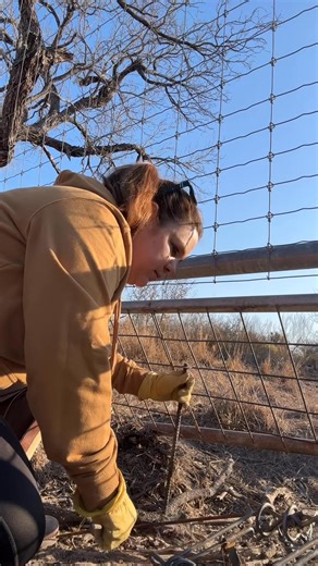 Good morning from the trapline and an unfortunate daytime catch. Part 7 | SheTraps