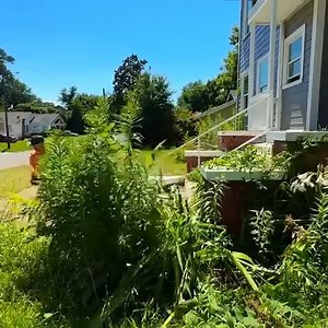 2K views · 61 reactions | CODE ENFORCEMENT SHOWED UP during my WORST YARD YET | M&D Lawn Care 01 | Facebook