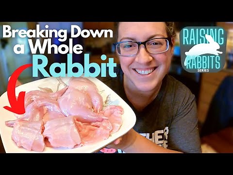 Parting-Out Rabbit into Usable Pieces to Cook, Can or Freeze