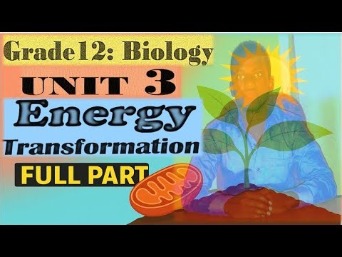 Grade 12 Biology Unit 3 Energy Transformation (Full Lesson)