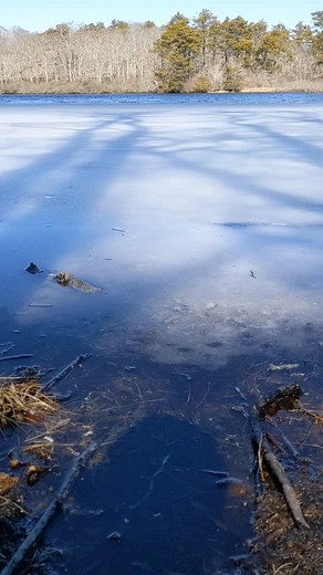 Partially frozen pond at Beech Forest Trail - Cape Cod National Seashore. #capecodnationalseashore #nationalparksusa #travelbucketlists #massachusetts #newengland #beautifuldestinations #travelideas #usaroadtrip #americathebeautiful🇺🇸 | Bubbles Travel Blog