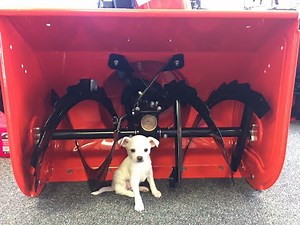 Ariens AX engine Fix for loose throttle control