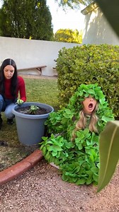 950K views · 4.8K reactions | The plant attacked her!   This original video was produced by Network Media and Allie Sparks Show | Your Turn Games | Facebook