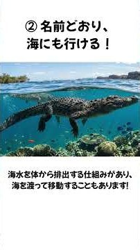 【地球最大の爬虫類】イリエワニ、強すぎる5つの秘密 #動物雑学 #イリエワニ #shorts
