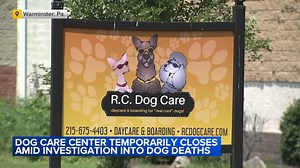 Bucks County kennel temporarily closes amid investigation into 2 dog deaths
