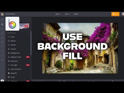 How to Use Background Fill in Befunky 2025?