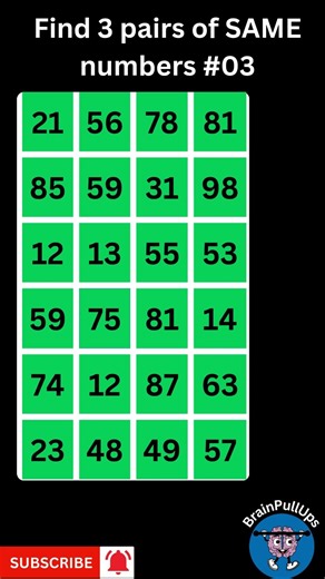 Only a Genius Can Find 3 Pairs of Same Numbers in This Hard Level