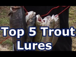 Best 5 Trout Lures for Lakes, Rivers, and Streams- Tips