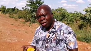 54K views · 1.3K reactions | MANGO CHEWING COMPETITION GOES SOCIAL...