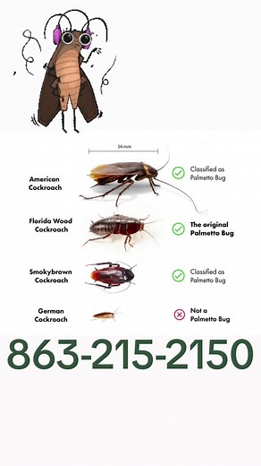 S&G Pest Control on TikTok