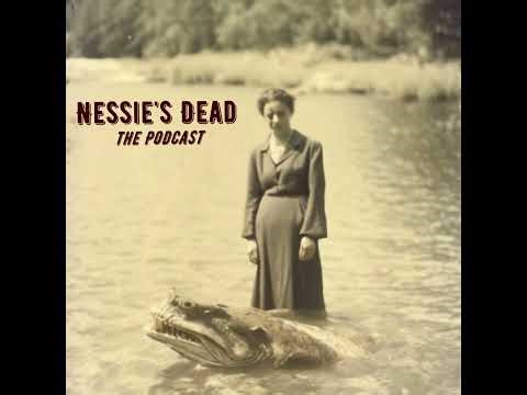 Missing 411:Paranormal Theories