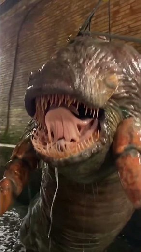 massive sewer slugs discovered under London