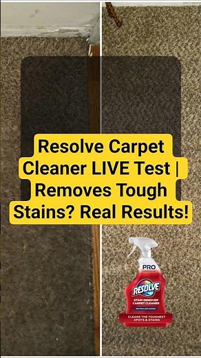 Resolve Carpet Cleaner LIVE Test | Removes Tough Stains? Real Results!