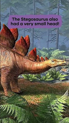 Dinos A to Z: Stegosaurus | #shorts