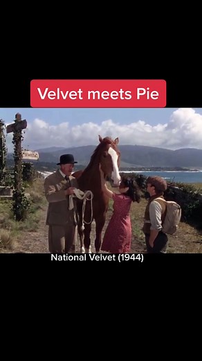 National Velvet (1944) starring Elizabeth Taylor and Mickey Rooney. #DanceWithTurboTax #fypシ #foryoupage #trending #horsetok #filmtok #movietok #horsesoftiktok #movieclip #oldhollywood #vintage #oldmovies #horsegirl #horseriding #horsebackriding #equestrian #crosscountryjumping #dance