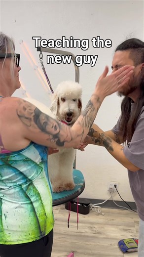 Sometimes it be like that! Jk!! Don’t worry, we would never even though I’m sure Katie has thought of doing it to me from time to time. 😂😂 #andisgrooming #utsumigrooming #cuddlesapp