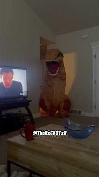 These Boxers Definitely Ain’t Watching Jurassic Park!