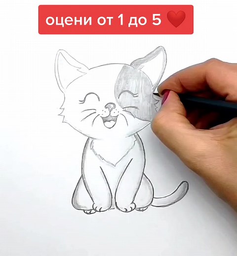 Drawing a Cartoon Cat Tutorial: Step-by-Step Guide